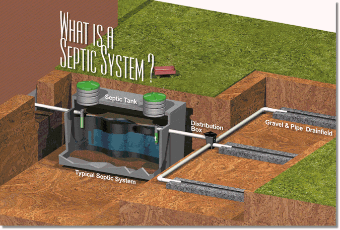 Septic Systems Digger's North Bay